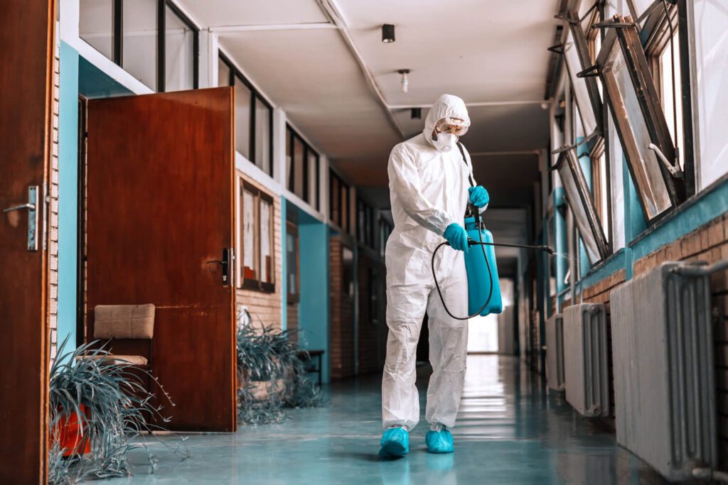 Dedetização em Ambientes Corporativos